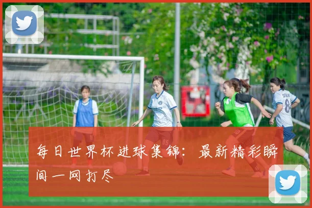 每日世界杯进球集锦:最新精彩瞬间一网打尽